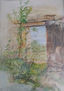 Ventana al campo