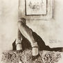 Woman's Leg