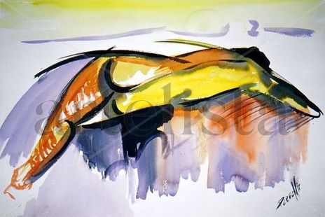Figura 7