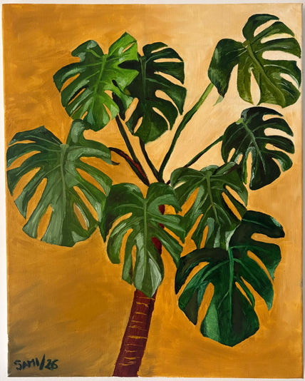 Monstera
