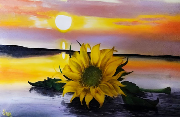 Girasol en el Ocaso