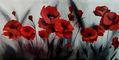 Amapolas en la Niebla