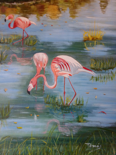 Flamencos