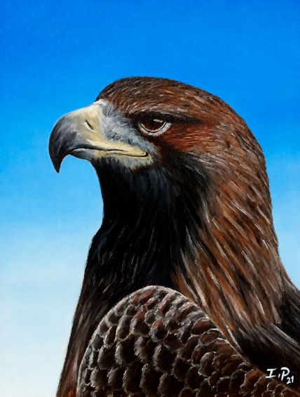 Águila Real
