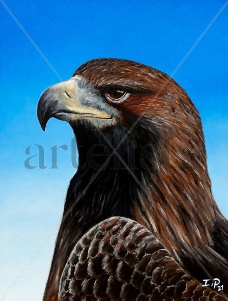 Águila Real