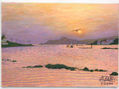 Ria de Marin po la noite