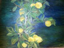 Limonero 1
