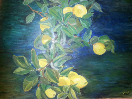 Limonero 1