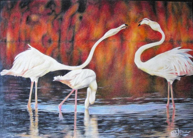 Flamingos Pastel Card Landscaping