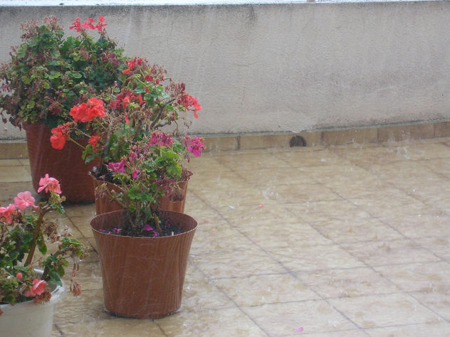 gota fria
