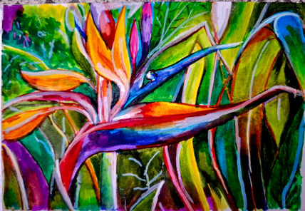 Flor Ave del Paraíso