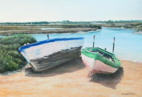 Barcas en Salina...