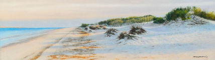 Dunas al atardecer...