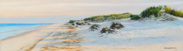 Dunas al atardecer IX (Punta del Boquerón)