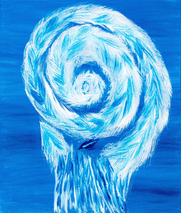 Nautilos