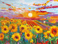Sunflowers 1562