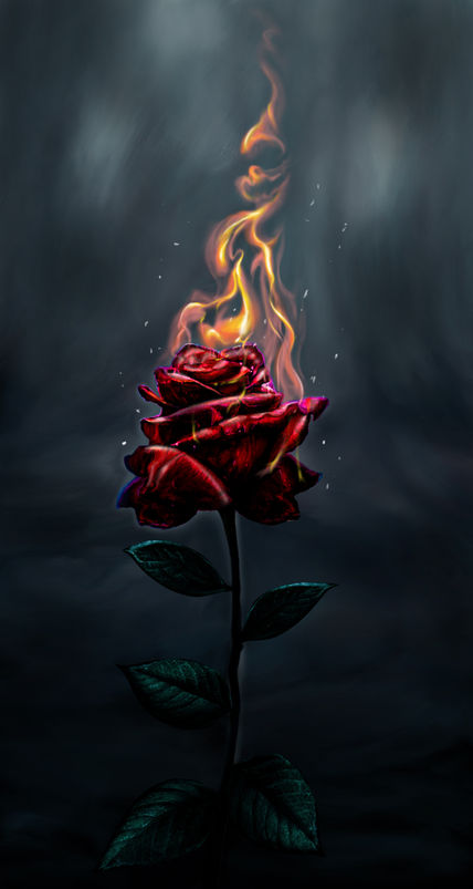 Rosa
