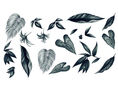 Hojas tropicales
