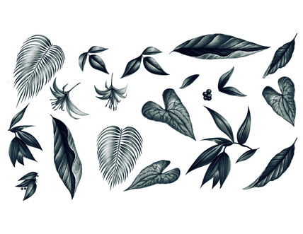 Hojas tropicales