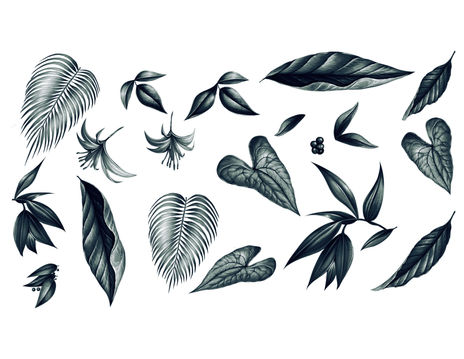 Hojas tropicales