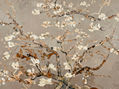Flores de almendro