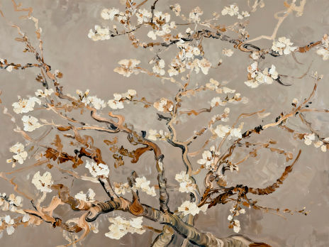 Flores de almendro