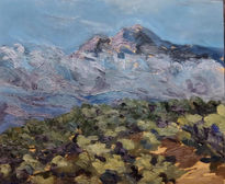 Vista del migjorn...