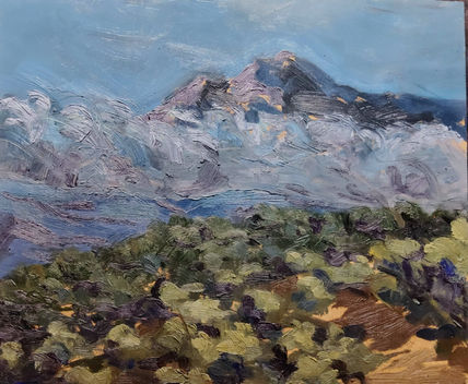 Vista del migjorn...