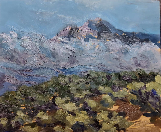 vista del migjorn des de la carrasqueta
