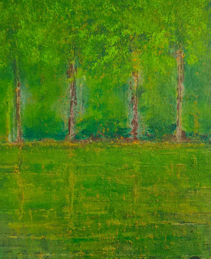 Reflejos del bosque