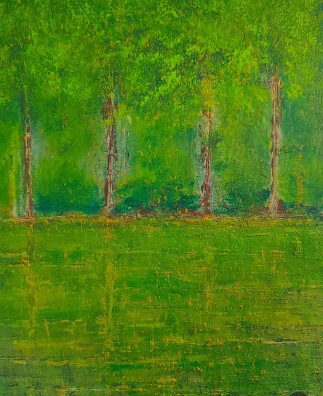 Reflejos del bosque