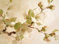 Flores de cerezo