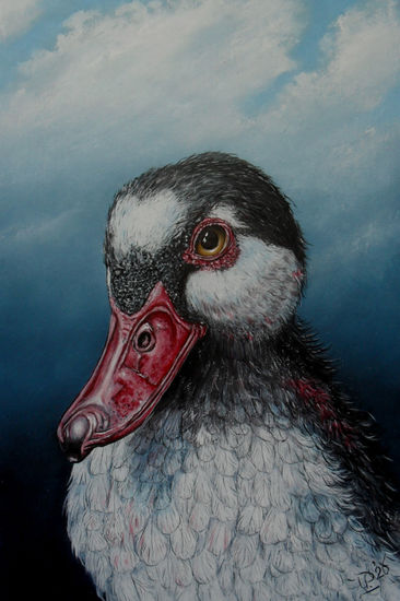 The Duck Reem A. Óleo Tabla Animales