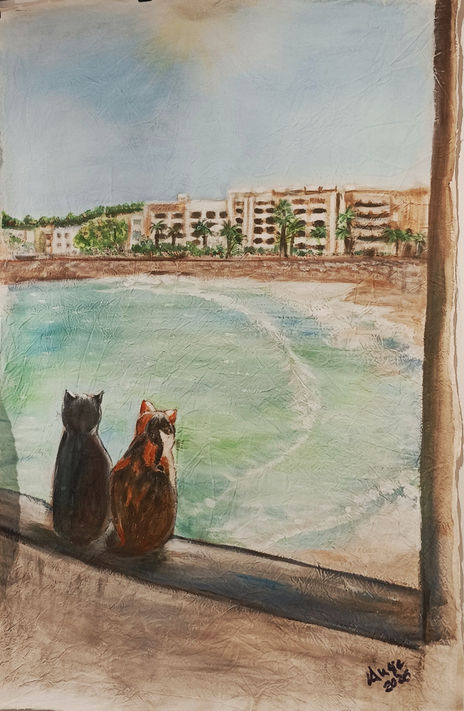 A vista de gato