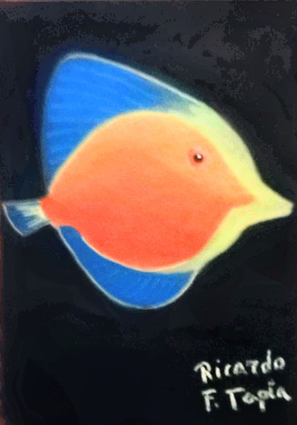 Pez de colores