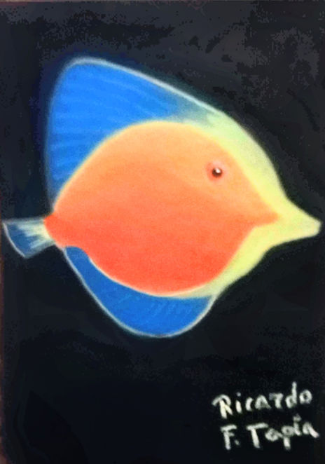 Pez de colores