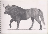 Medio toro /Medio...