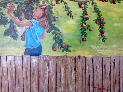Cogiendo manzanas