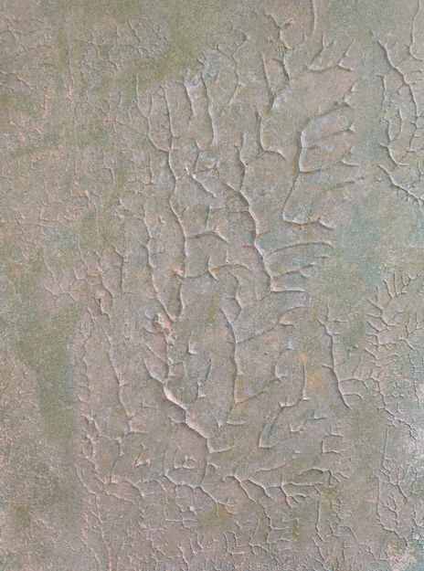 Roots of the Earth