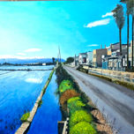 Albufera y el Saler thumbnail 1