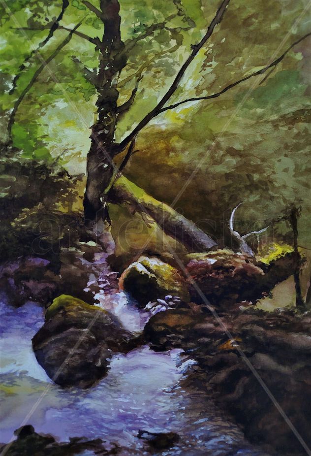 Rincón en un arroyo