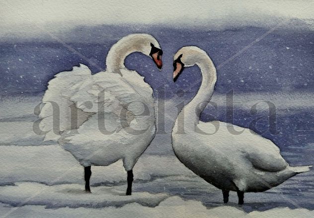 Pareja de cisnes
