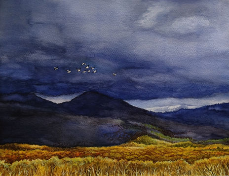 Aves sobre la...