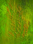 Texturas de la naturaleza