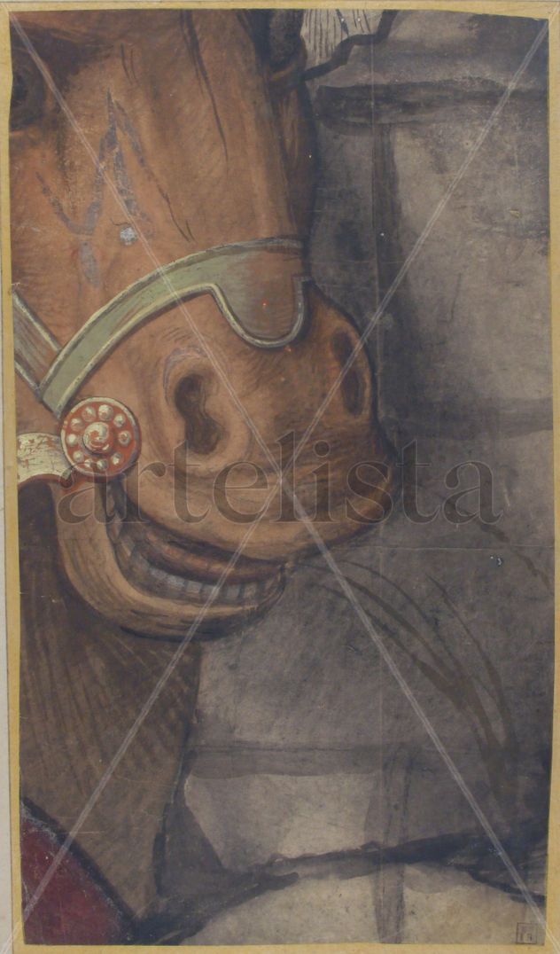 Cabeza de caballo -Rafael Sanzio - Lienzo premium (calidad de galeria)