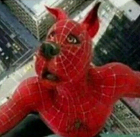 Ddewq