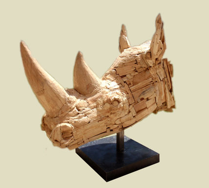 Rhinocerontidae