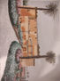 Castillo nevado