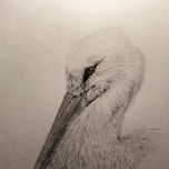 ANIMALES A GRAFITO. Graphite animals thumbnail 1