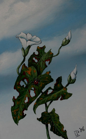 Struggle Oil Panel Landscaping